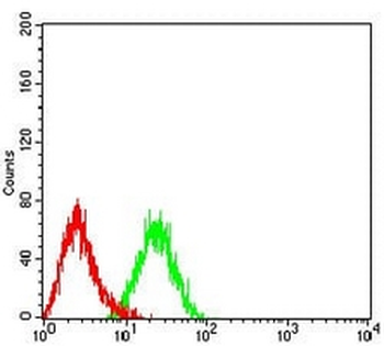CCR7 Mouse Monoclonal Antibody