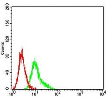 CD191 Mouse Monoclonal Antibody