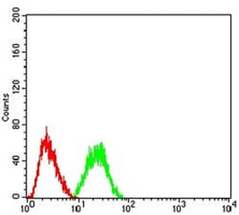 CBX2 Mouse Monoclonal Antibody
