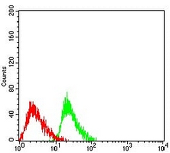 Ataxin 1 Mouse Monoclonal Antibody