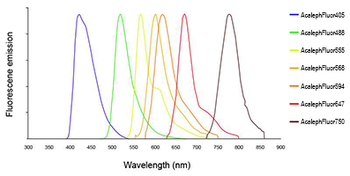 Rabbit Anti-Human IgG (H&L) Antibody (AcalephFluor680)