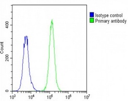 STRAD alpha Rabbit Polyclonal Antibody