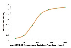 COVID-19 Nucleocapsid Protein scFv Antibody