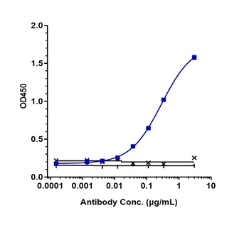 Endoglin/CD105 Antibody (MMAE)