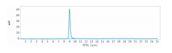 LIV-1/SLC39A6 Antibody (MMAE)