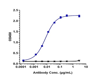 LIV-1/SLC39A6 Antibody (MMAE)