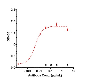 CDH17/Cadherin-17 Antibody