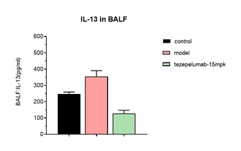 TSLP Antibody