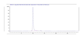 IL-33 Antibody