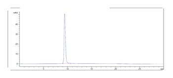 Siglec-2/CD22 Antibody
