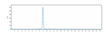 RHD/CD240d Antibody