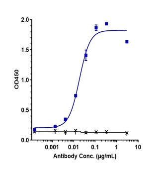 GDF15/MIC1 Antibody