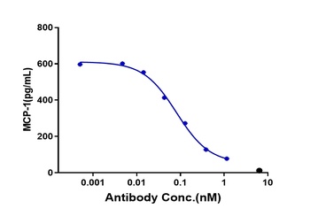 OSMR Antibody