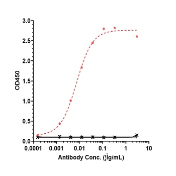 CD47 Antibody