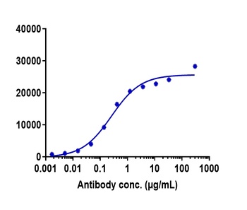 CD47 Antibody