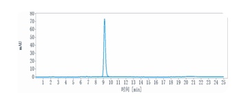 ERBB3/HER3 Antibody