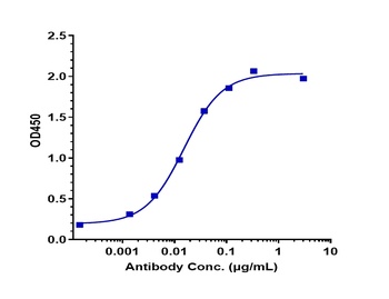BTLA/CD272 Antibody