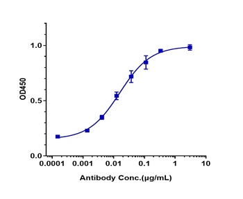 ERBB1/EGFR/HER1 Antibody