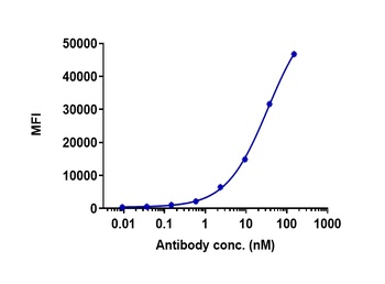 ERBB1/EGFR/HER1 Antibody