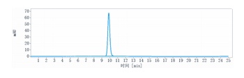 DLL4 Antibody
