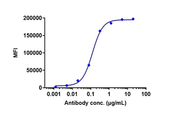 AXL/UFO Antibody
