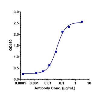 CLEC4C Antibody