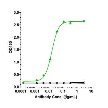 IL-6/IFNb2 Antibody