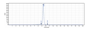 CD7 Antibody