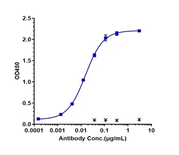 AXL/UFO Antibody