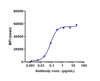 AXL/UFO Antibody