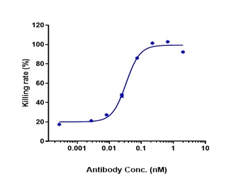 TREM1/CD354 Antibody