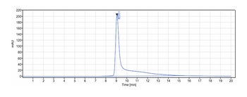 TNFSF7/CD27L/CD70 Antibody