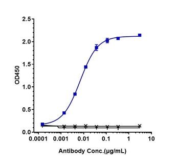 FcRL5/IRTA2/CD307e Antibody