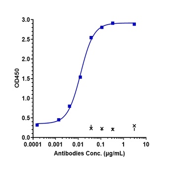 DLK1 Antibody
