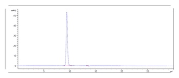 TPBG Antibody