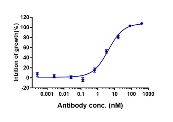 CSF2Rb/CD131 Antibody
