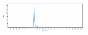 VEGFB Antibody