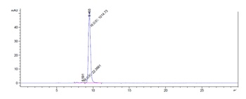 TGFb1 Antibody
