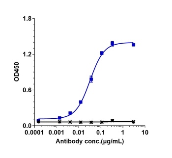 TNFRSF4/OX40/CD134 Antibody
