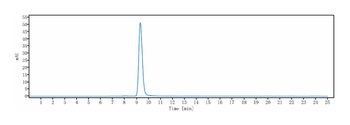 LOXL2 Antibody
