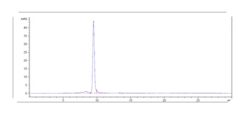 IL-7Ra/CD127 Antibody