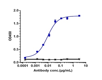 IL-23 Antibody