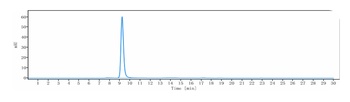 ERBB3/HER3 Antibody