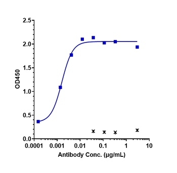 CLDN6/CLD6 Antibody