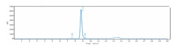 CD79b Antibody