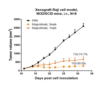 CD47 Antibody