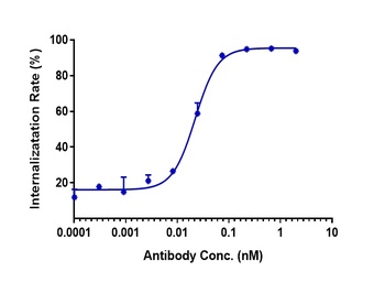 CDH6/K-Cadherin Antibody