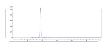 BST2/CD317 Antibody