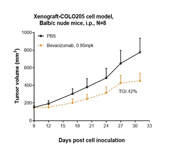VEGF Antibody
