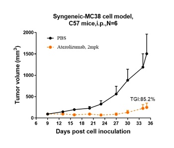 B7-H1/PD-L1/CD274 Antibody